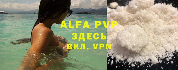индика Арсеньев