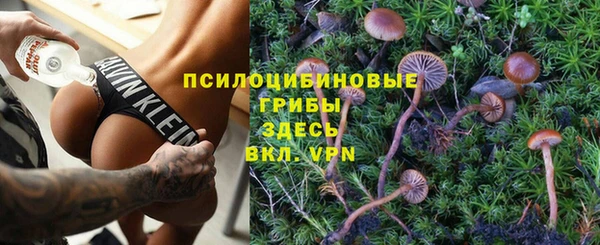 индика Арсеньев