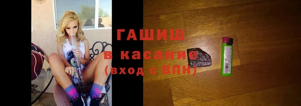 индика Арсеньев