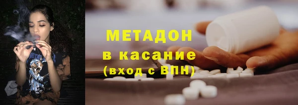 индика Арсеньев
