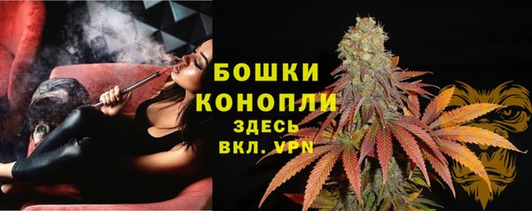 индика Арсеньев