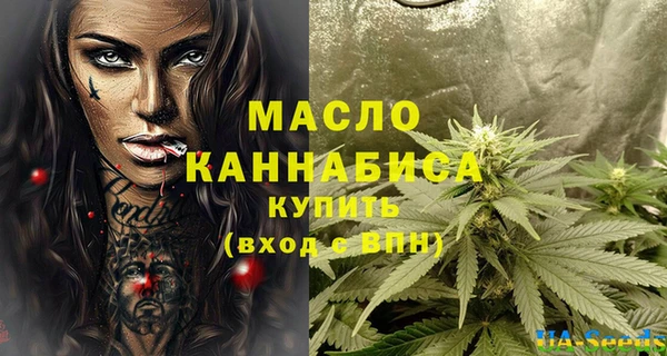 индика Арсеньев