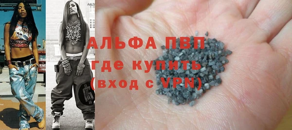 PSILOCYBIN Аркадак
