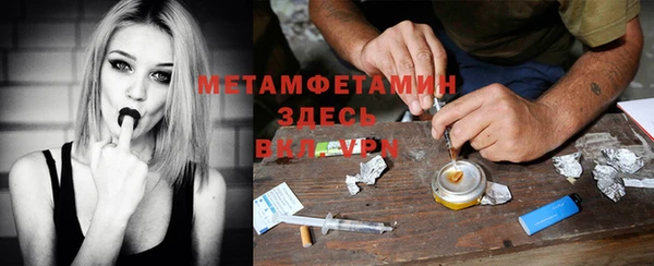 индика Арсеньев