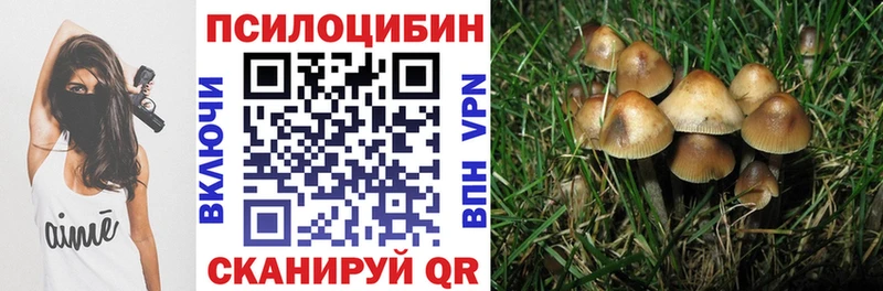 Галлюциногенные грибы мухоморы  Купить закладки  Минусинск 